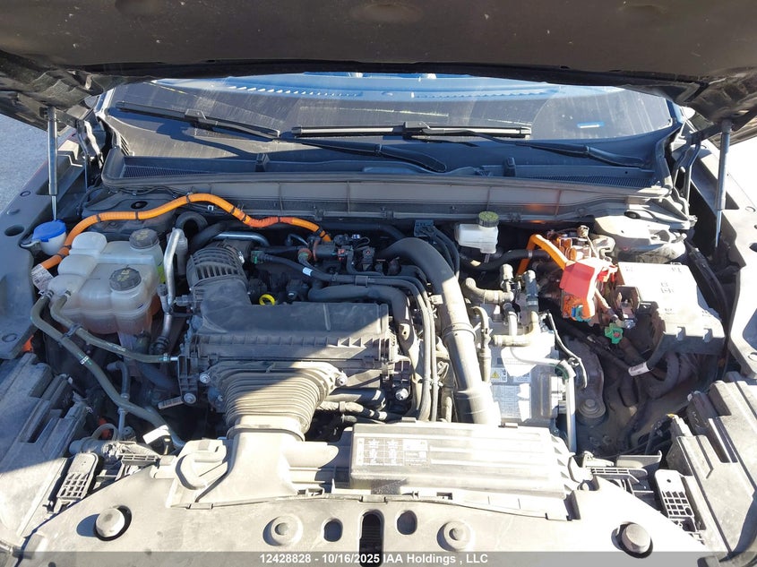 2025 Lincoln Nautilus VIN: 5LMPJ8J44SJ888186 Lot: 12428828