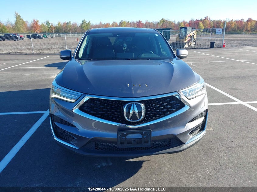 2021 Acura Rdx Elite VIN: 5J8TC2H71ML808641 Lot: 12428844