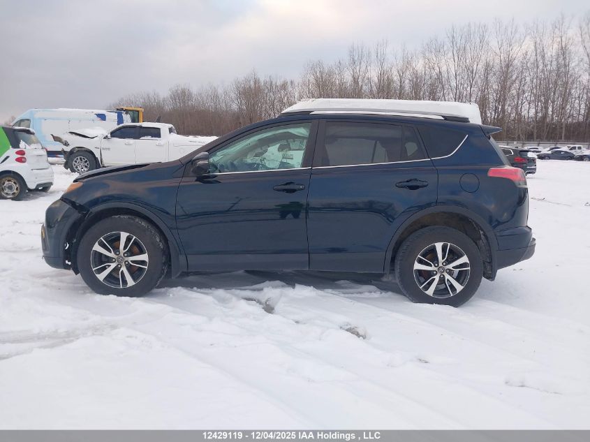 2017 Toyota Rav4 Xle VIN: 2T3WFREV5HW372118 Lot: 12429119