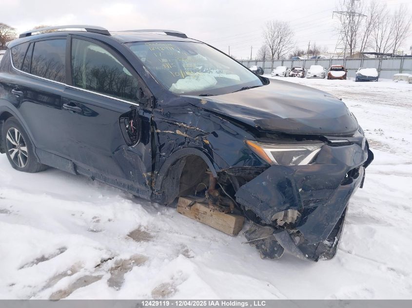 2017 Toyota Rav4 Xle VIN: 2T3WFREV5HW372118 Lot: 12429119