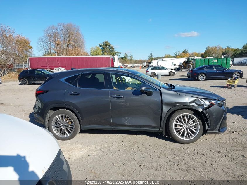 2025 Lexus Nx 350 VIN: 2T2GGCEZ1SC082781 Lot: 12429236
