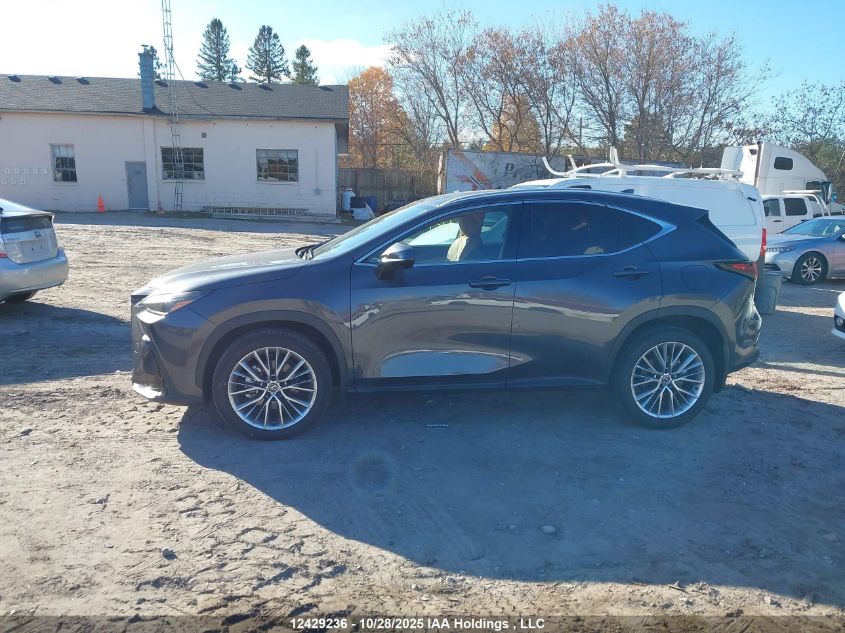 2025 Lexus Nx 350 VIN: 2T2GGCEZ1SC082781 Lot: 12429236