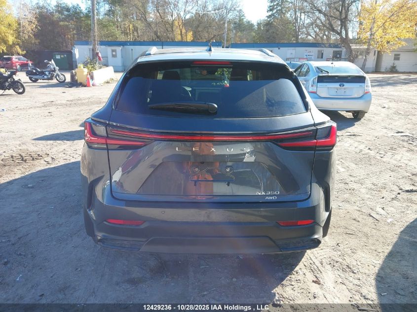 2025 Lexus Nx 350 VIN: 2T2GGCEZ1SC082781 Lot: 12429236