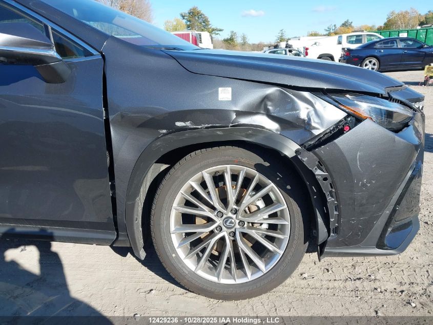 2025 Lexus Nx 350 VIN: 2T2GGCEZ1SC082781 Lot: 12429236