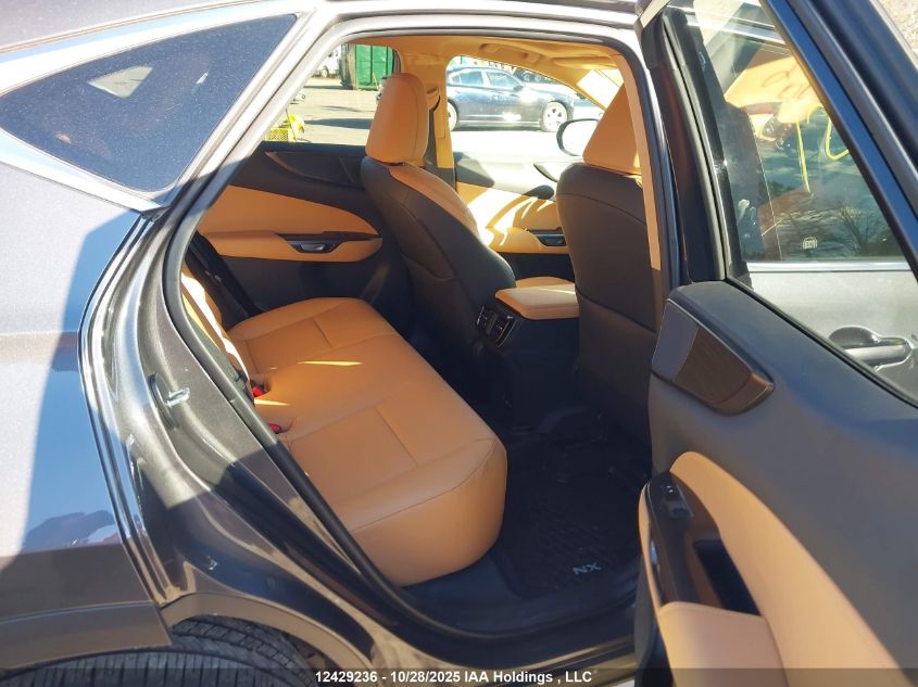 2025 Lexus Nx 350 VIN: 2T2GGCEZ1SC082781 Lot: 12429236