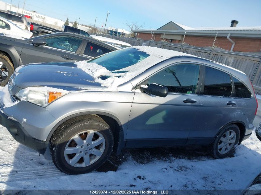 2007 Honda Cr-V Ex VIN: 5J6RE48527L801371 Lot: 12429374