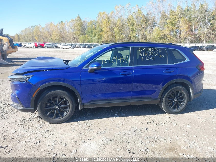 2HKRS4H50RH102536 2024 HONDA CR-V photo no. 14