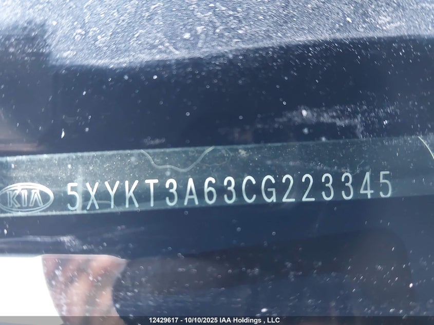 2012 Kia Sorento Lx VIN: 5XYKT3A63CG223345 Lot: 12429617