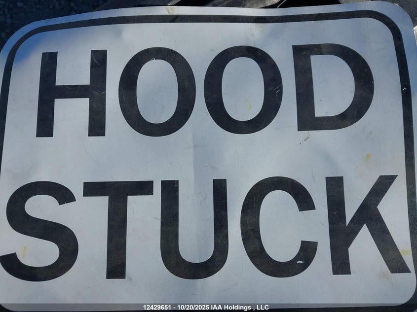 2010 Cadillac Srx Performance Collection VIN: 3GYFNEEY1AS521658 Lot: 12429651