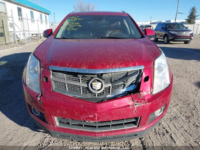 2010 Cadillac Srx Performance Collection VIN: 3GYFNEEY1AS521658 Lot: 12429651