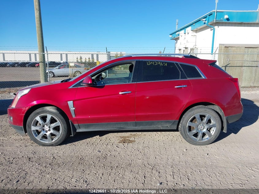 2010 Cadillac Srx Performance Collection VIN: 3GYFNEEY1AS521658 Lot: 12429651