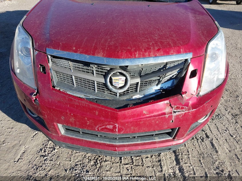 2010 Cadillac Srx Performance Collection VIN: 3GYFNEEY1AS521658 Lot: 12429651