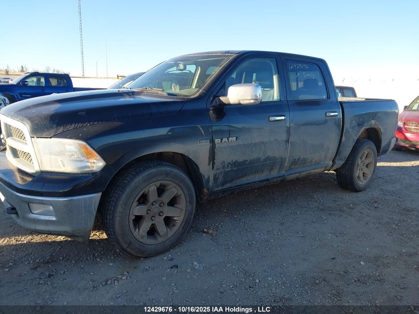 2010 Dodge Ram 1500 Laramie VIN: 1D7RV1CT7AS219862 Lot: 12429676