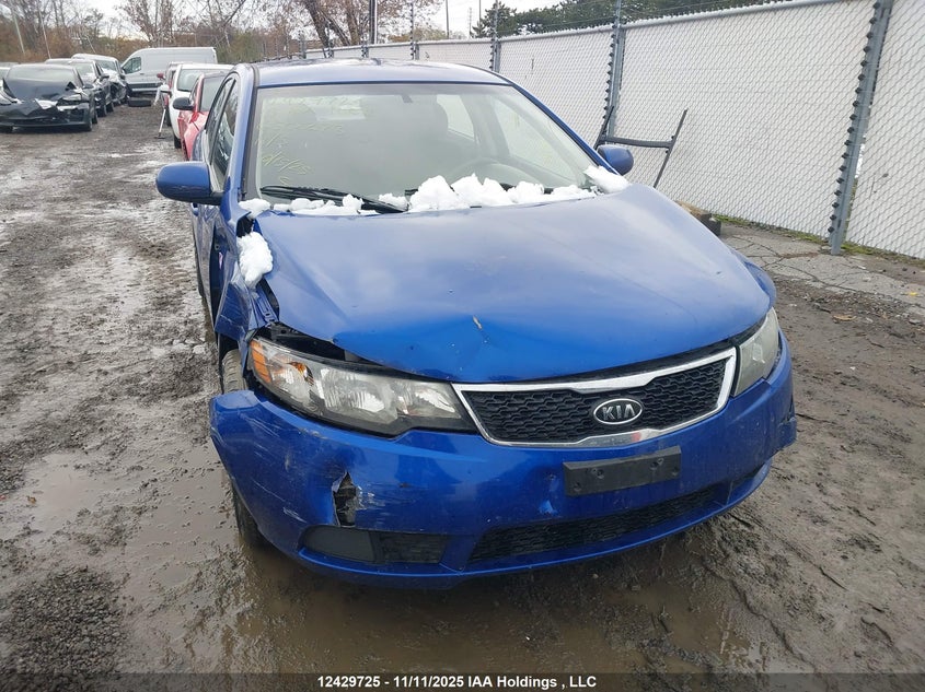 2013 Kia Forte VIN: KNAFT4A28D5650273 Lot: 12429725
