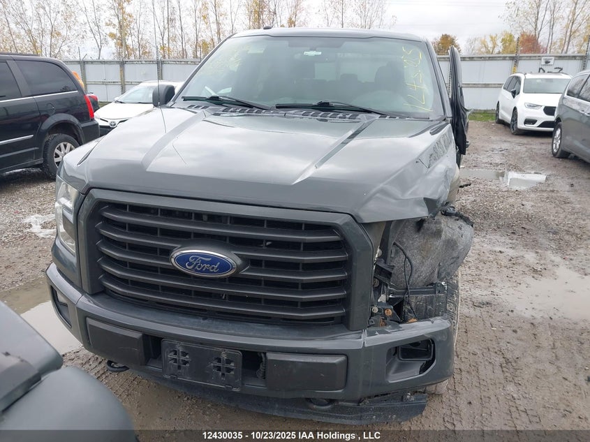 1FTEW1EP2GFC35507 2016 FORD F-150 photo no. 12