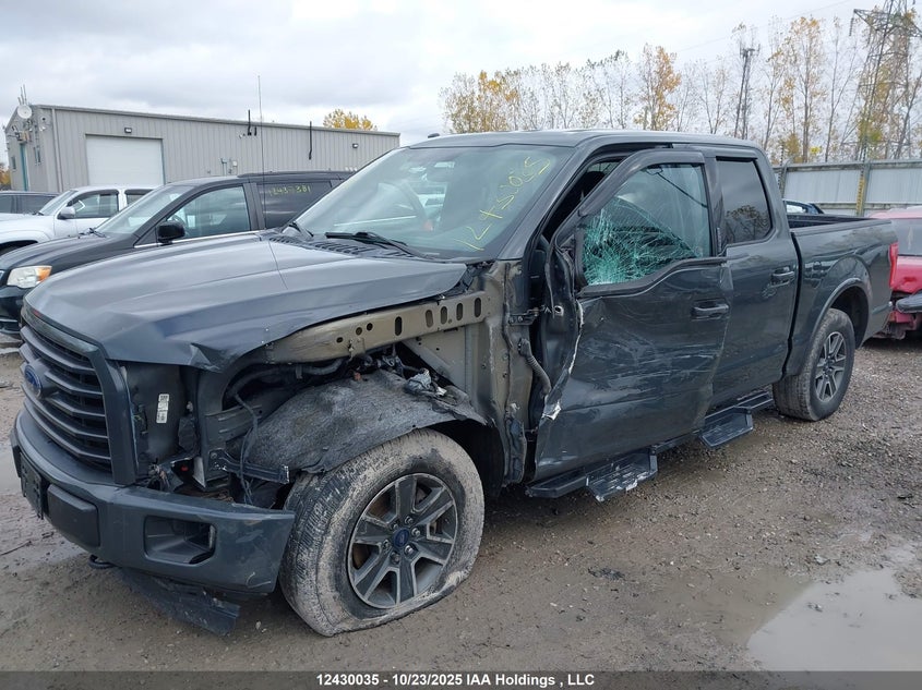 1FTEW1EP2GFC35507 2016 FORD F-150 photo no. 6