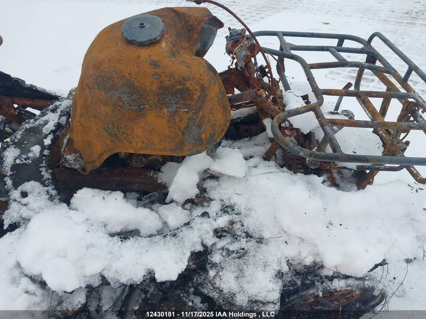 1990 Honda Trx300 Fw VIN: 478TE152XLA203080 Lot: 12430181