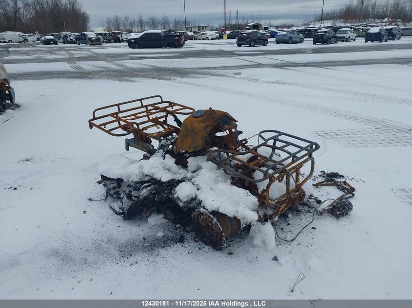 478TE152XLA203080 HONDA TRX300 Photo 1