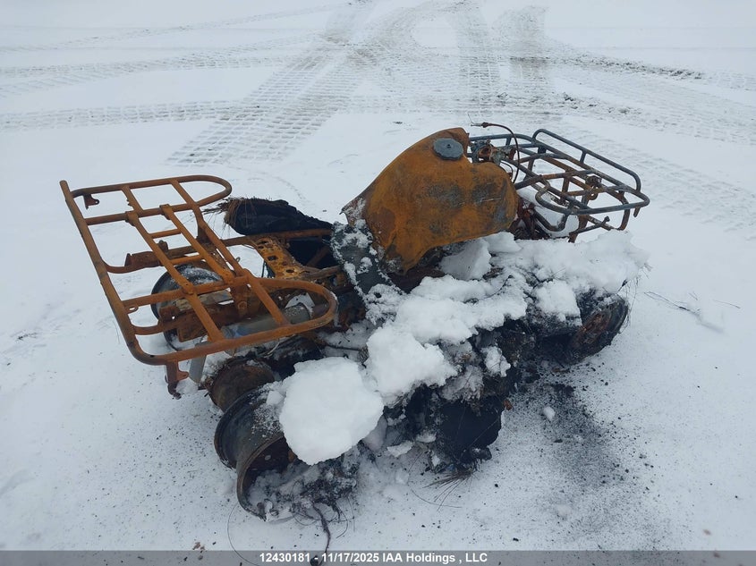 1990 Honda Trx300 Fw VIN: 478TE152XLA203080 Lot: 12430181