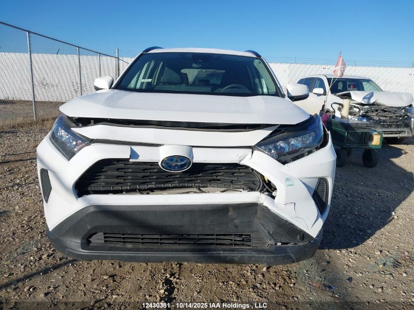 2023 Toyota Rav4 Le VIN: 2T3BWRFV5PW183934 Lot: 12430381