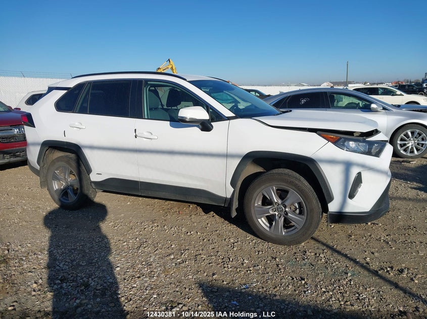 2023 Toyota Rav4 Le VIN: 2T3BWRFV5PW183934 Lot: 12430381