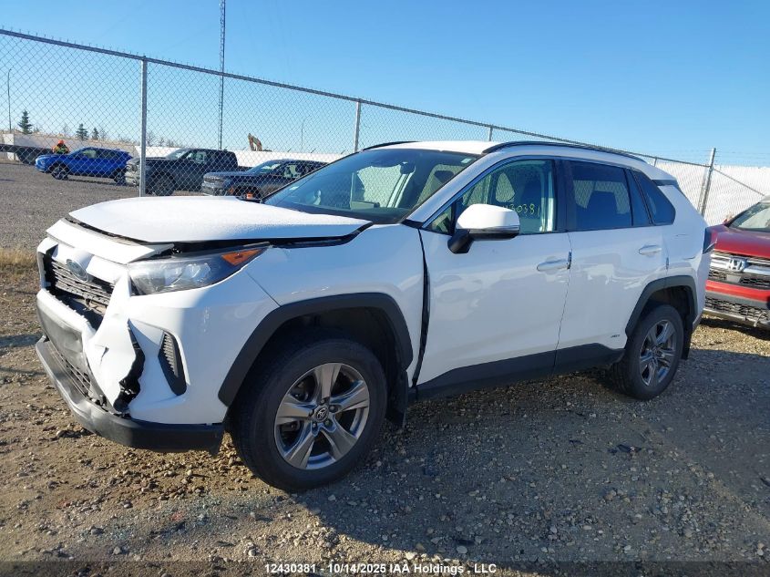 2023 Toyota Rav4 Le VIN: 2T3BWRFV5PW183934 Lot: 12430381