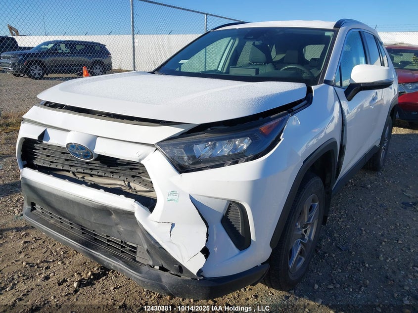 2023 Toyota Rav4 Le VIN: 2T3BWRFV5PW183934 Lot: 12430381