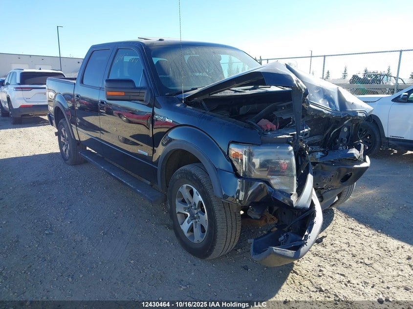 1FTFW1ET5DKE85036 2013 FORD F-150 photo no. 13