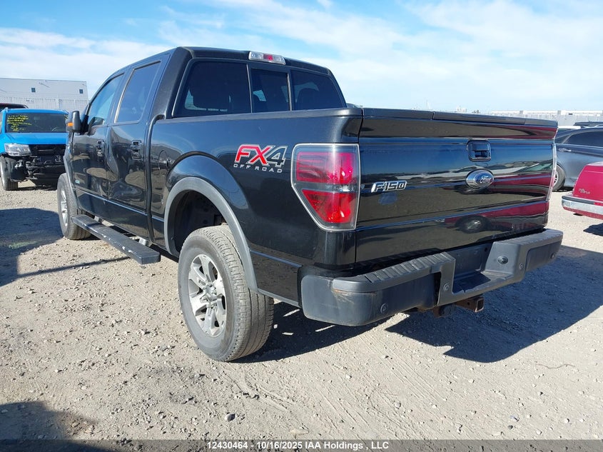 1FTFW1ET5DKE85036 2013 FORD F-150 photo no. 3