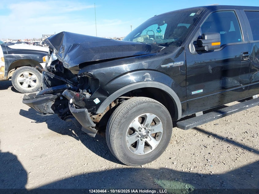 2013 Ford F-150 Fx4 VIN: 1FTFW1ET5DKE85036 Lot: 12430464