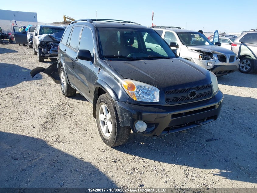 2005 Toyota Rav4 VIN: JTEHD20VX56022683 Lot: 12428817X