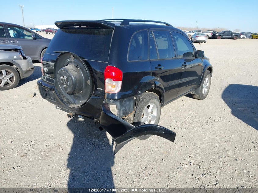 2005 Toyota Rav4 VIN: JTEHD20VX56022683 Lot: 12428817X