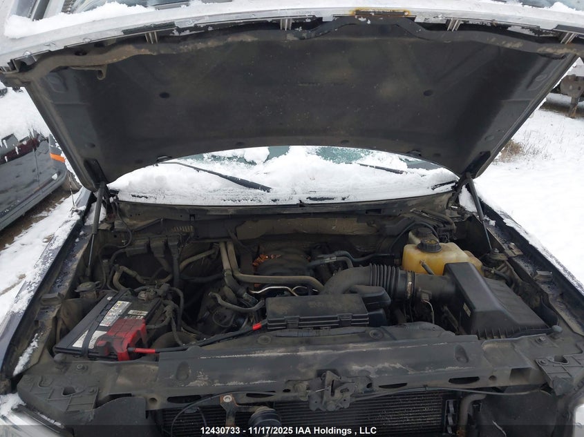 1FTFW1EF6DFC83597 2013 FORD F-150 photo no. 10