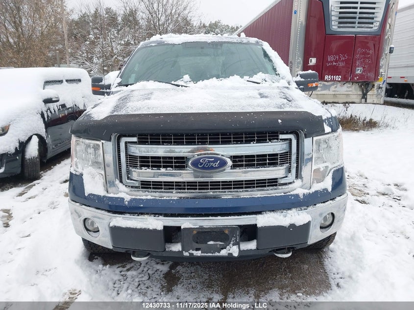 1FTFW1EF6DFC83597 2013 FORD F-150 photo no. 12
