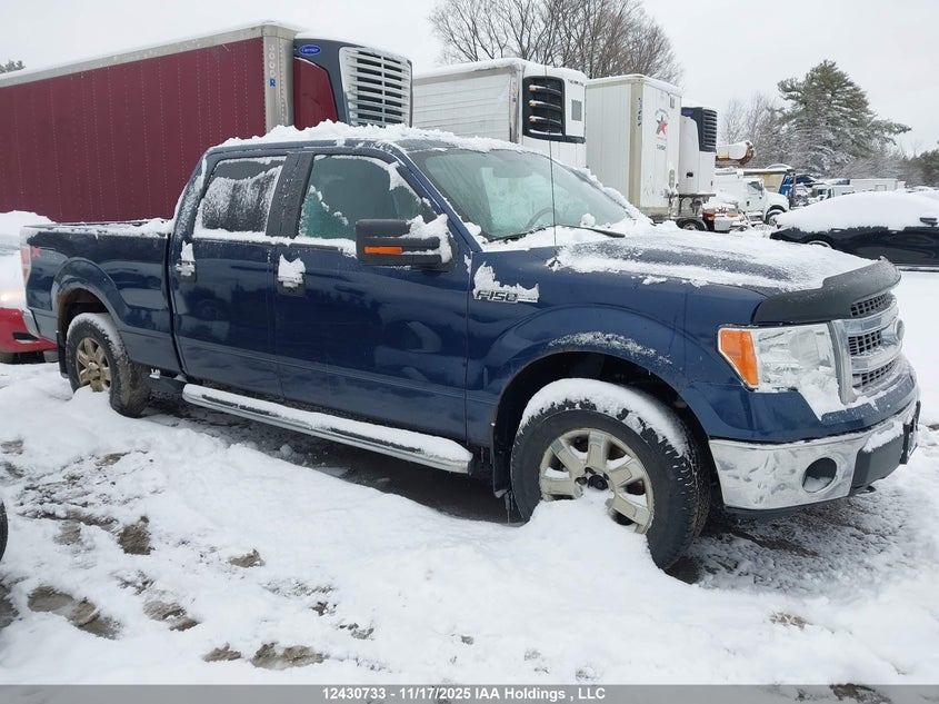 1FTFW1EF6DFC83597 2013 FORD F-150 photo no. 13