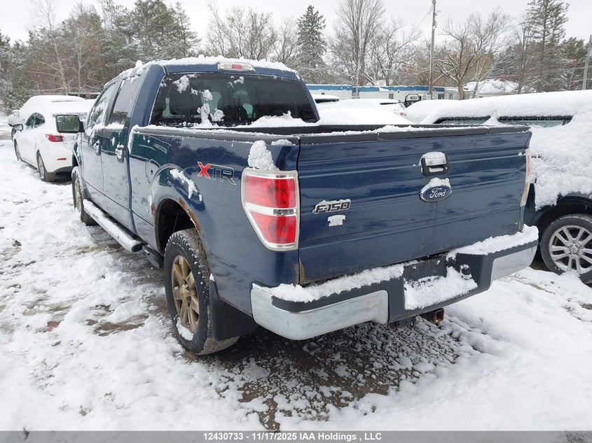 1FTFW1EF6DFC83597 2013 FORD F-150 photo no. 3