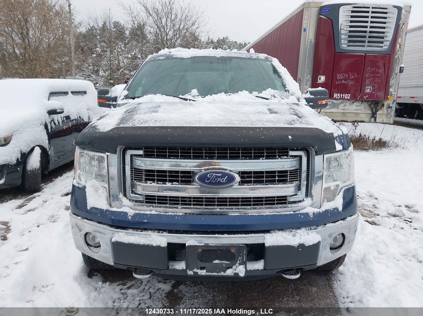 1FTFW1EF6DFC83597 2013 FORD F-150 photo no. 6