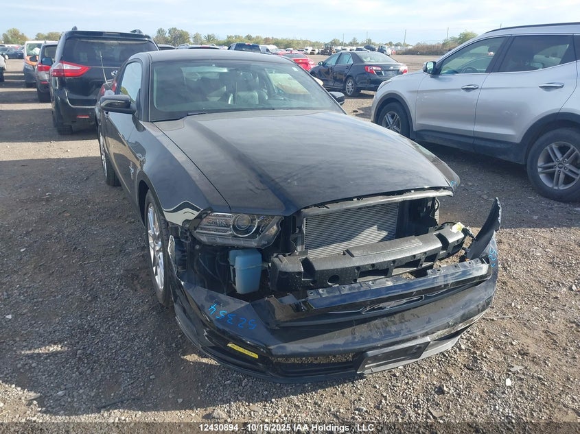 2013 Ford Mustang V6 Premium VIN: 1ZVBP8AM0D5219891 Lot: 12430894