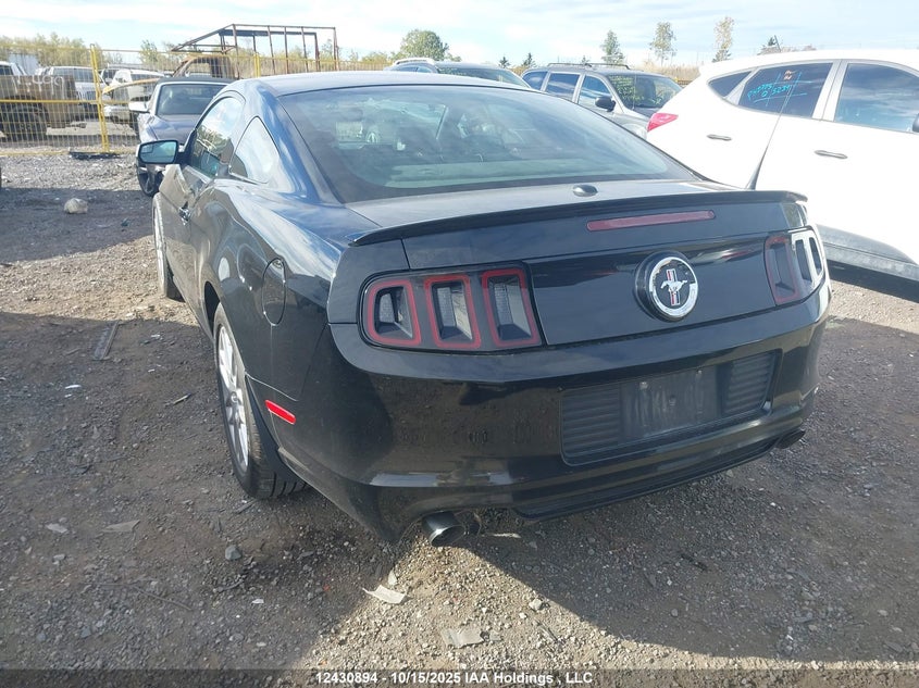 2013 Ford Mustang V6 Premium VIN: 1ZVBP8AM0D5219891 Lot: 12430894