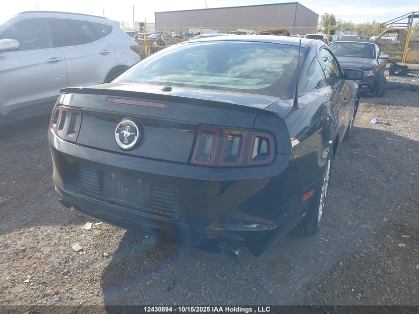 2013 Ford Mustang V6 Premium VIN: 1ZVBP8AM0D5219891 Lot: 12430894