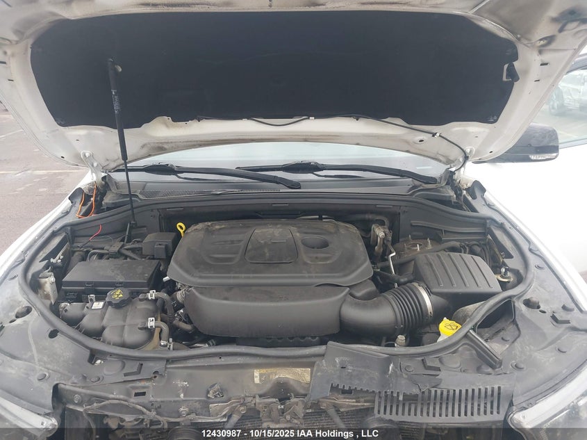 1C4RDJDG3KC721911 2019 DODGE DURANGO photo no. 10