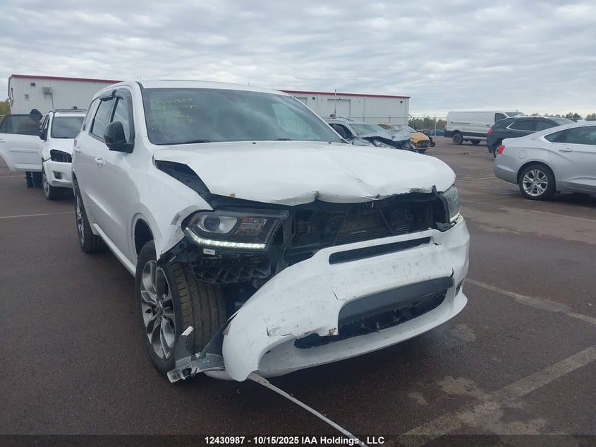 1C4RDJDG3KC721911 2019 DODGE DURANGO photo no. 12