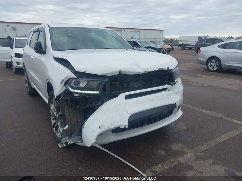 1C4RDJDG3KC721911 2019 DODGE DURANGO photo no. 6