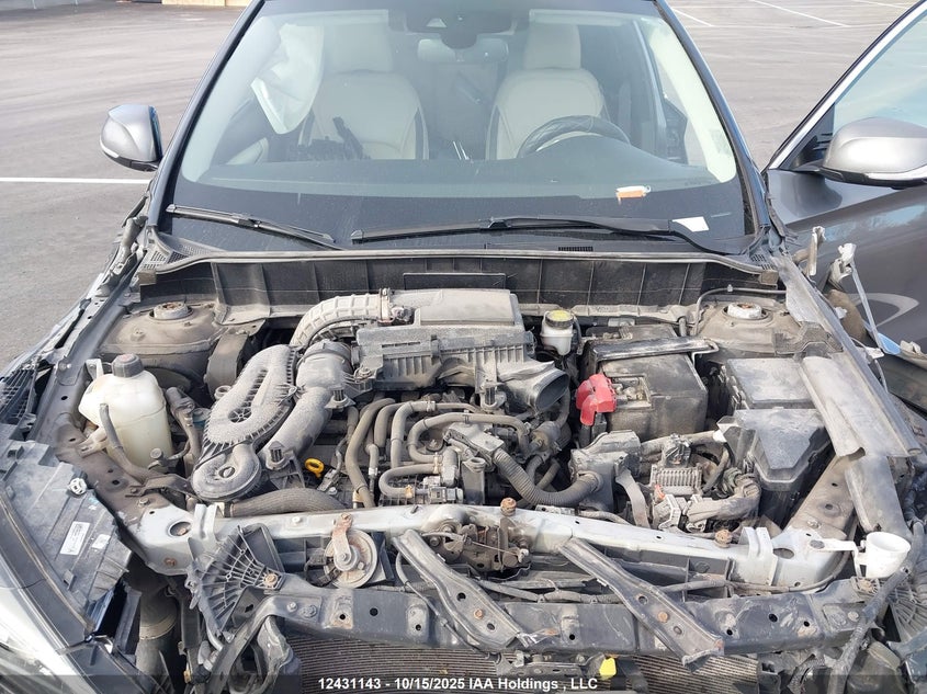 2019 Infiniti Qx50 Essential/Pure VIN: 3PCAJ5M38KF134214 Lot: 12431143