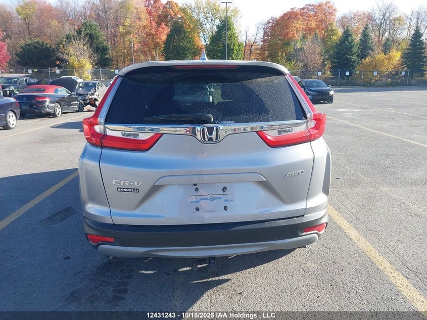 2019 Honda Cr-V Ex VIN: 2HKRW2H59KH114425 Lot: 12431243