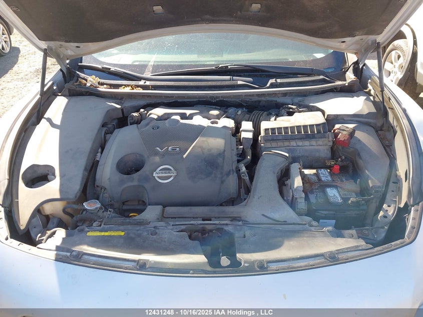 2011 Nissan Maxima S/Sv VIN: 1N4AA5AP6BC846487 Lot: 12431248