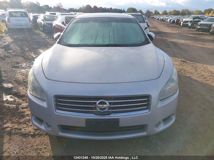 2011 Nissan Maxima S/Sv VIN: 1N4AA5AP6BC846487 Lot: 12431248