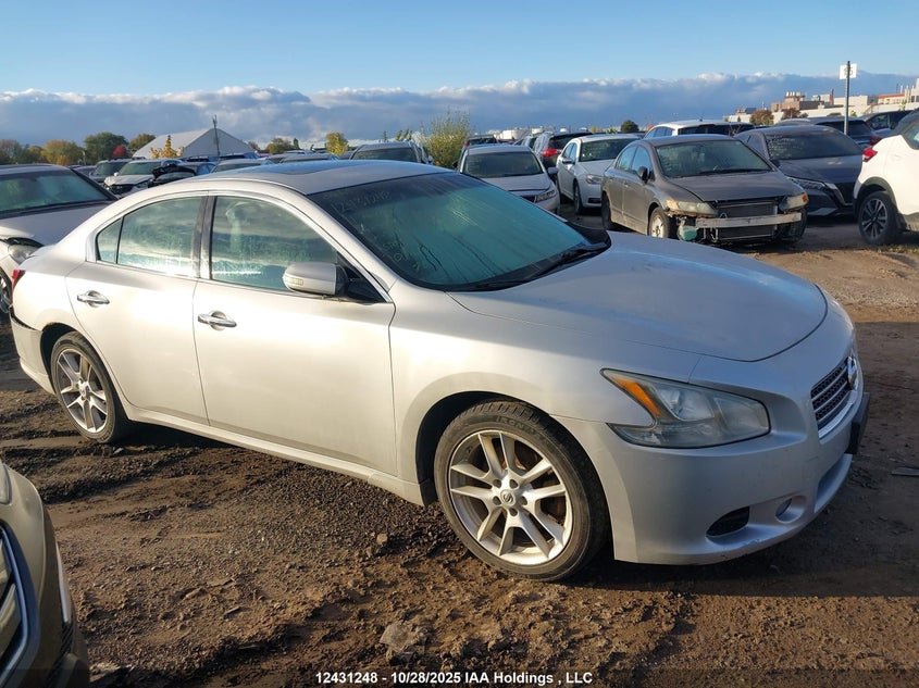 2011 Nissan Maxima S/Sv VIN: 1N4AA5AP6BC846487 Lot: 12431248