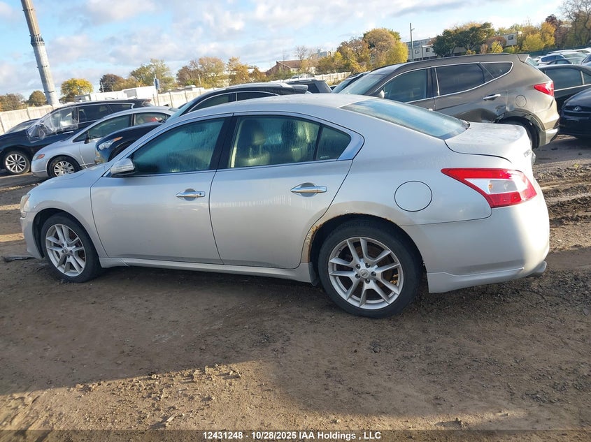 2011 Nissan Maxima S/Sv VIN: 1N4AA5AP6BC846487 Lot: 12431248