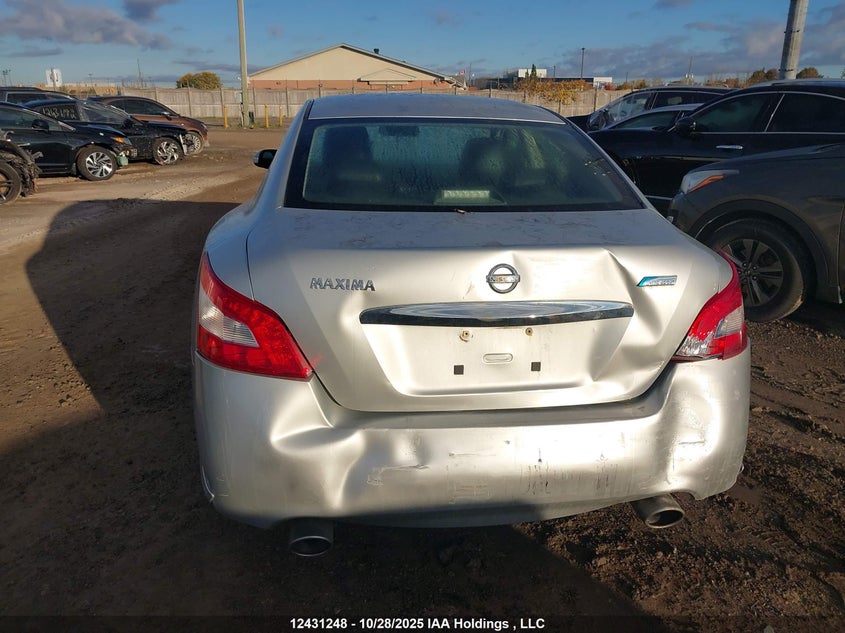 2011 Nissan Maxima S/Sv VIN: 1N4AA5AP6BC846487 Lot: 12431248